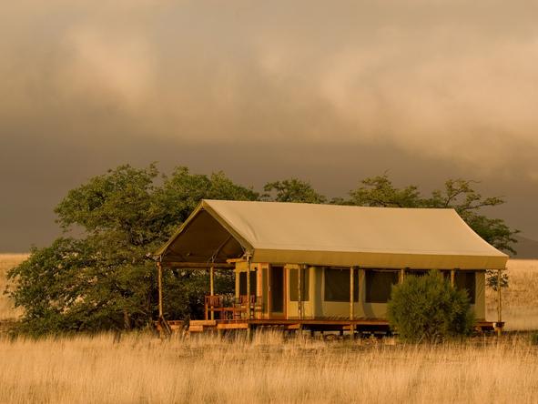 Desert Rhino Camp - Tent